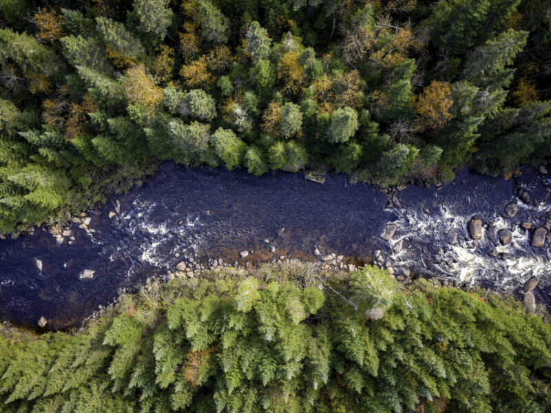 Aerial view large river running through a forest. | Vue aérienne d'une grande rivière traversant une forêt.